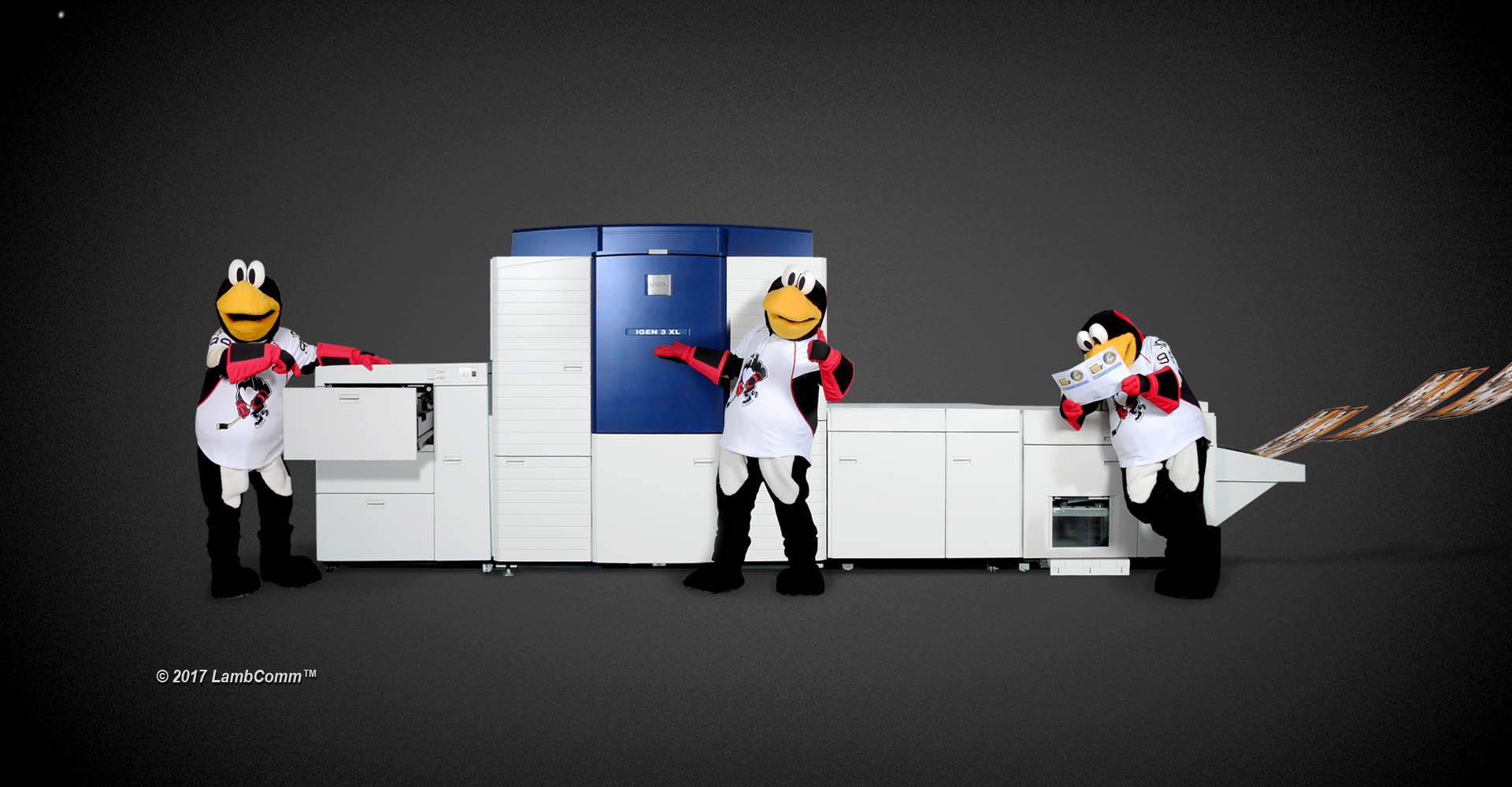 Commercial Photography